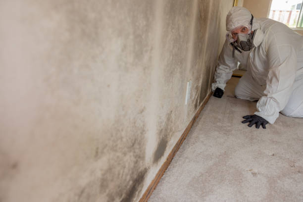 Best Crawl Space Mold Remediation  in Oak Hill, FL